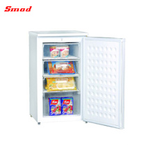 Free Standing Mini Refrigerator Freezer (BD-100L)